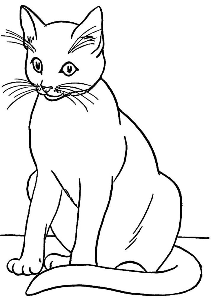 desenhos para colorir de gatos 8