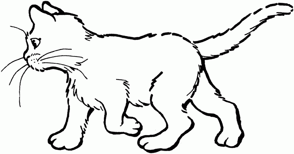 70 Desenhos de Gatos para Colorir e Imprimir - Muito Fácil