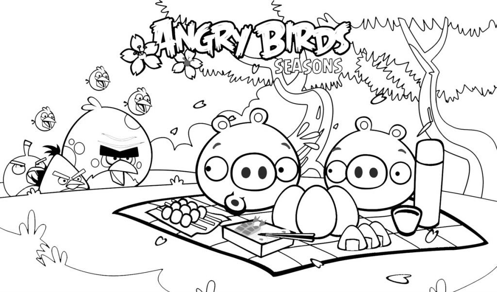 angry birds para colorir