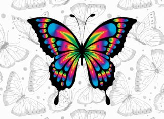 borboletas para colorir