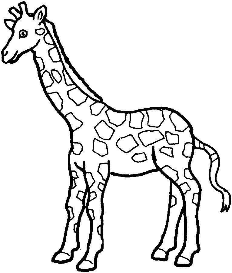 desenho de girafa para colorir 1