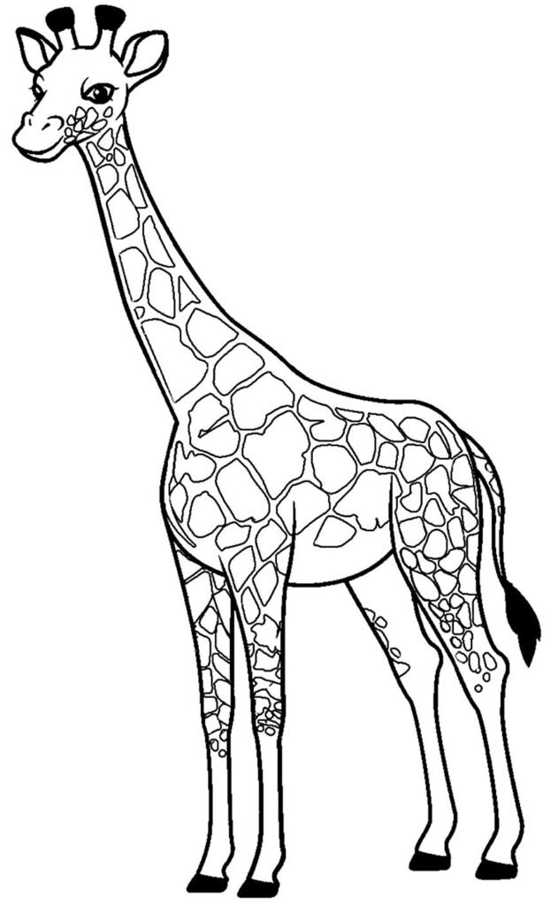 desenho de girafa para colorir 7