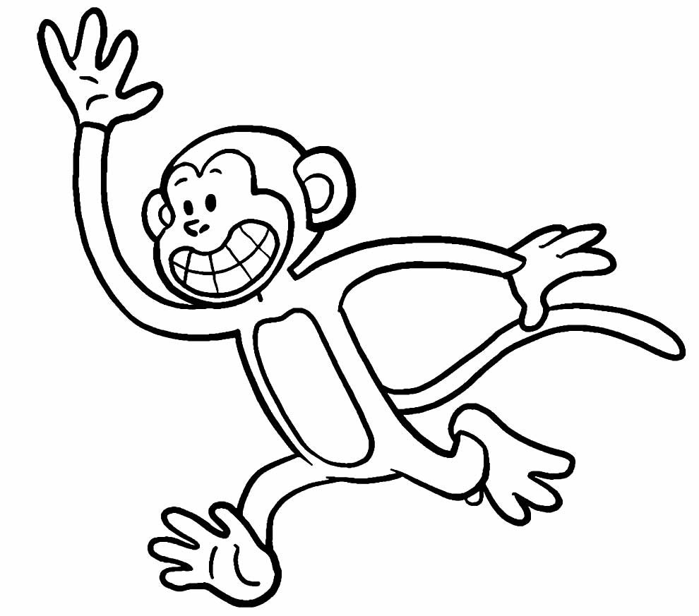 desenho de macaquinho 12