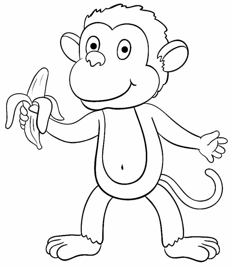 desenho de macaquinho 3