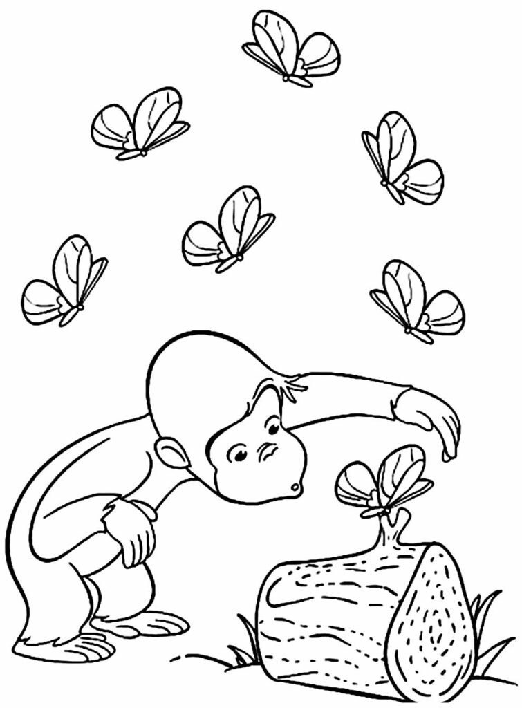 desenho de macaquinho 5