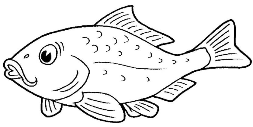 +90 Desenhos de Peixes para Colorir e Imprimir