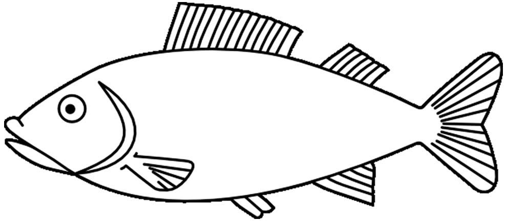 desenho de peixe para colorir 6