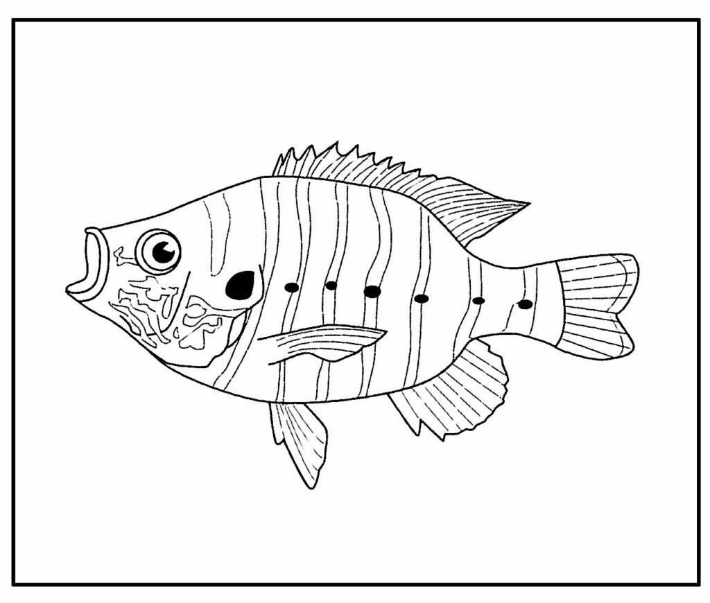 desenho de peixe para pintar e colorir em casa facil 6