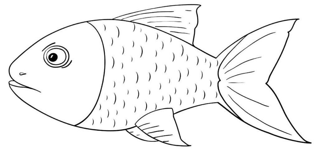 desenho de peixinho para colorir 11