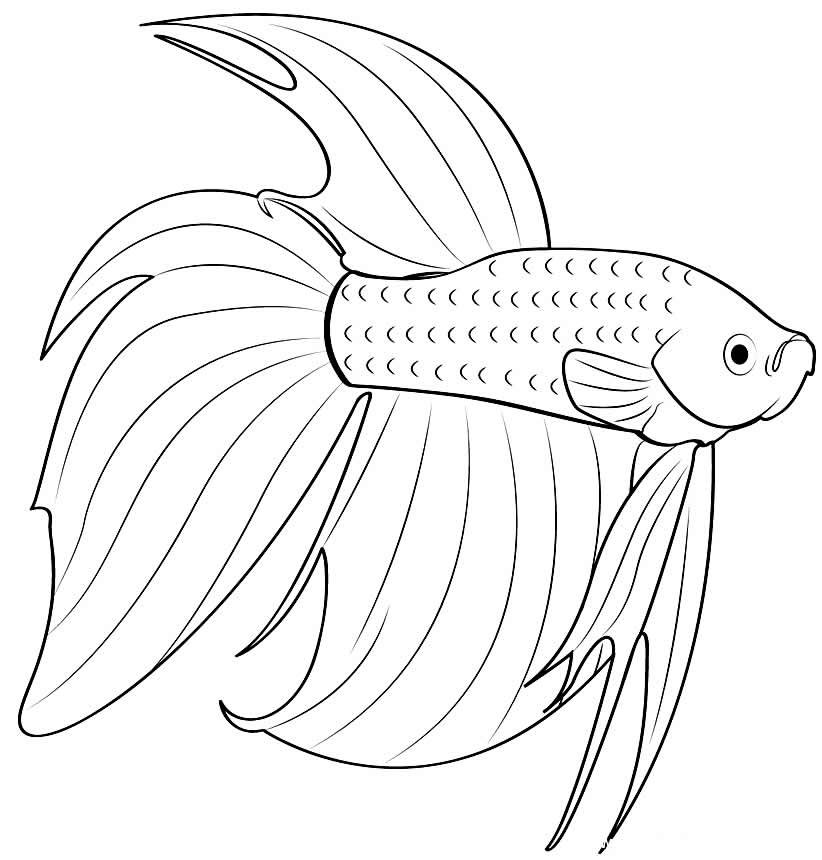 desenho de peixinho para colorir 6