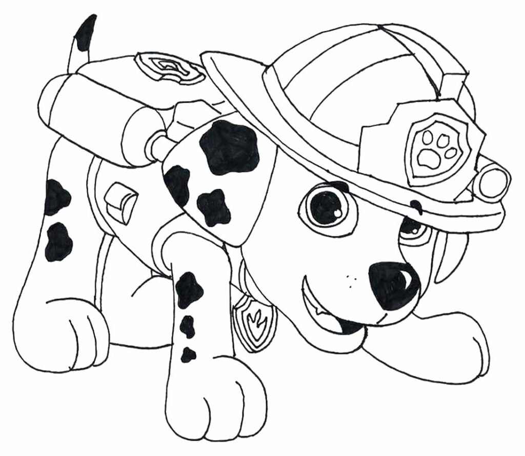 desenho para colorir patrulha canina 4