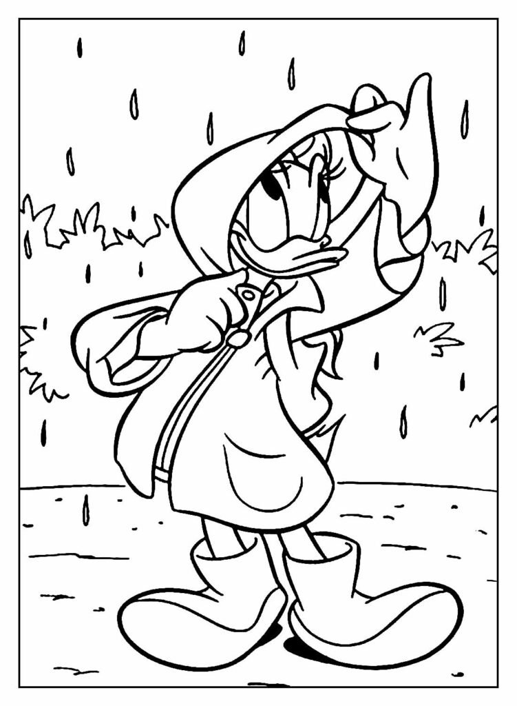 desenhos da margarida para colorir 20
