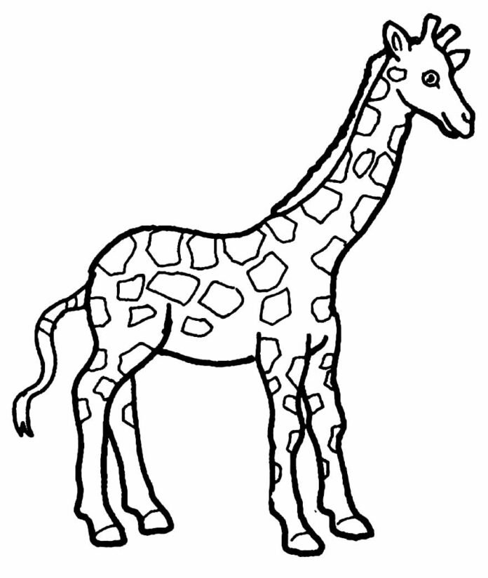 +70 Desenhos de Girafa para Colorir e Imprimir