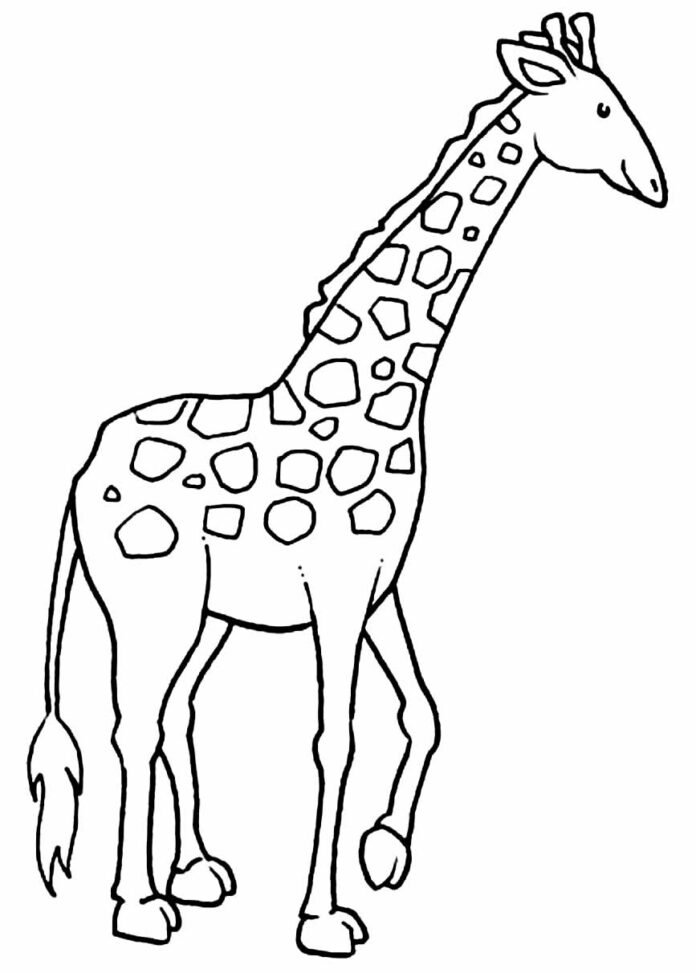 +70 Desenhos de Girafa para Colorir e Imprimir
