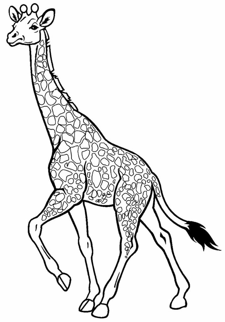desenhos de girafa para colorir 28