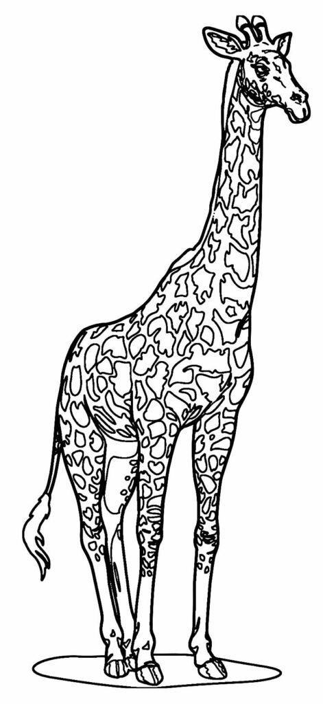 desenhos de girafa para colorir 29