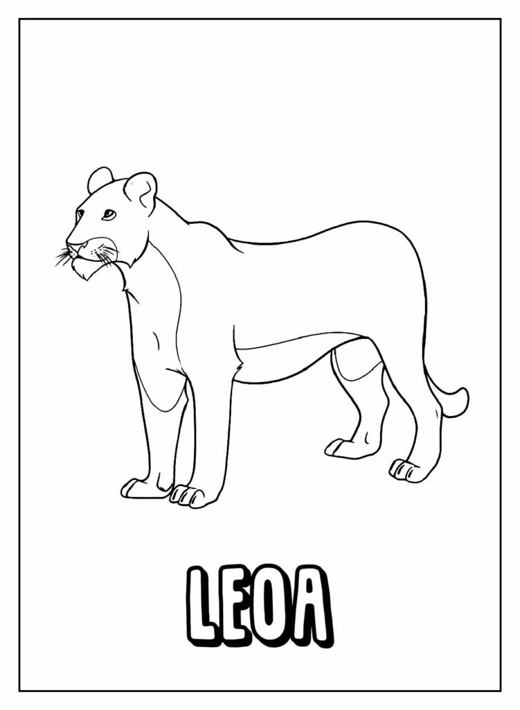 desenhos de leao para pintar e colorir 52