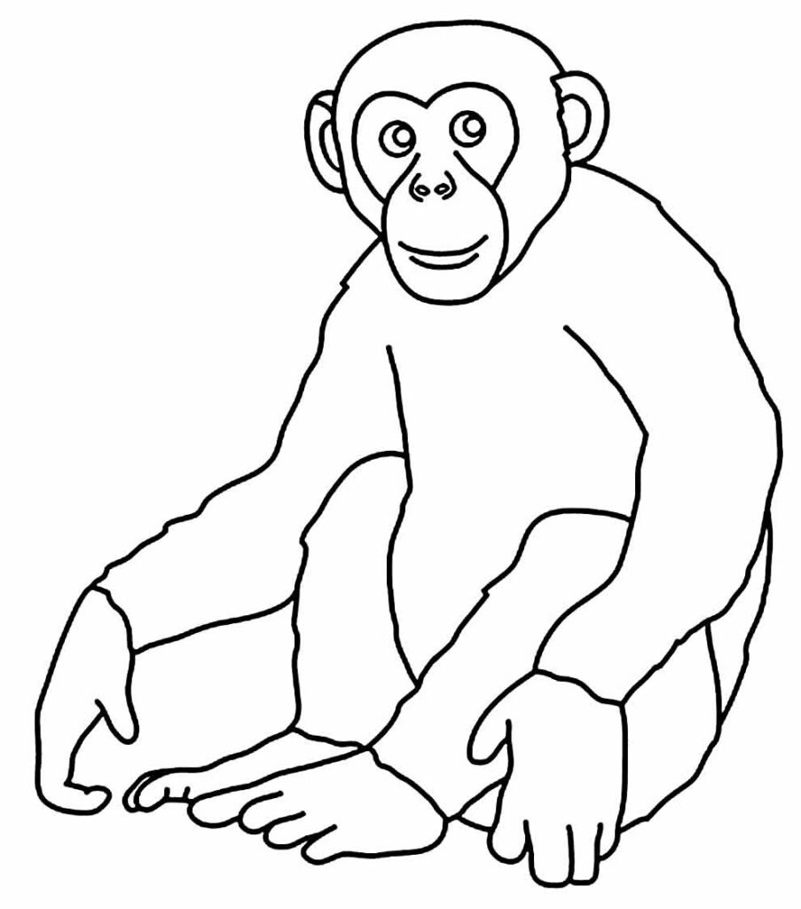 desenhos de macaco para colorir 12 desenhos de macaco para colorir 12