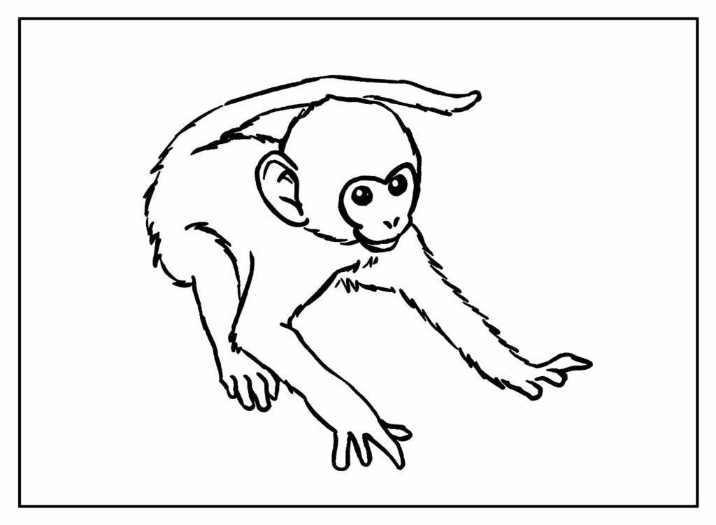 desenhos de macaco para colorir 14
