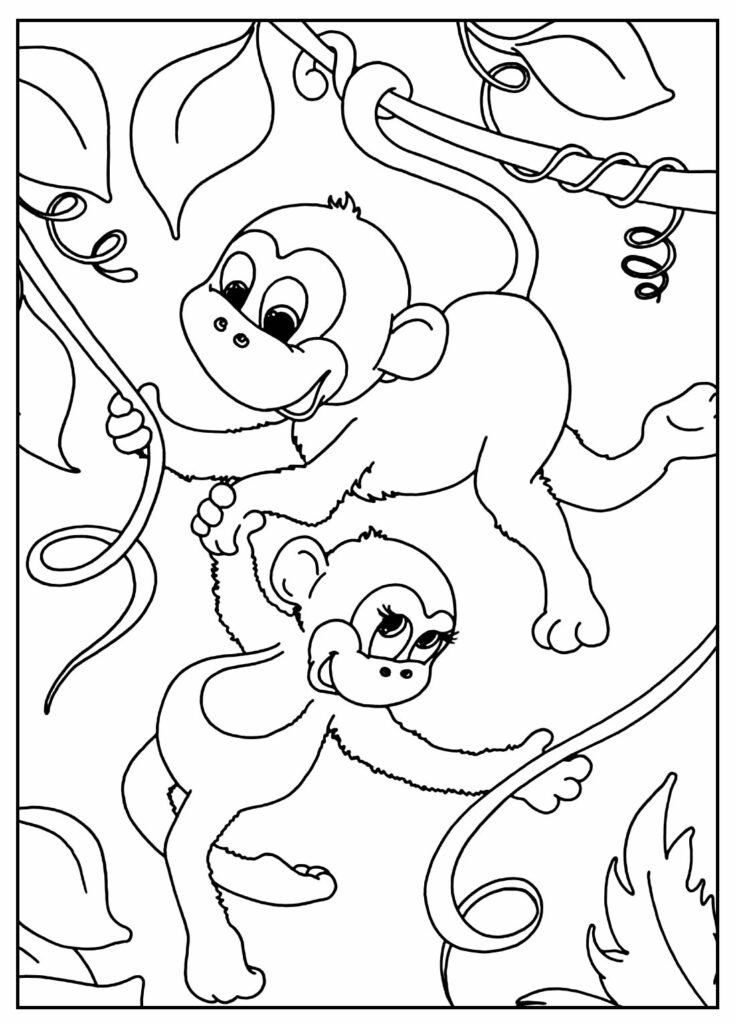 desenhos de macaco para colorir 3000