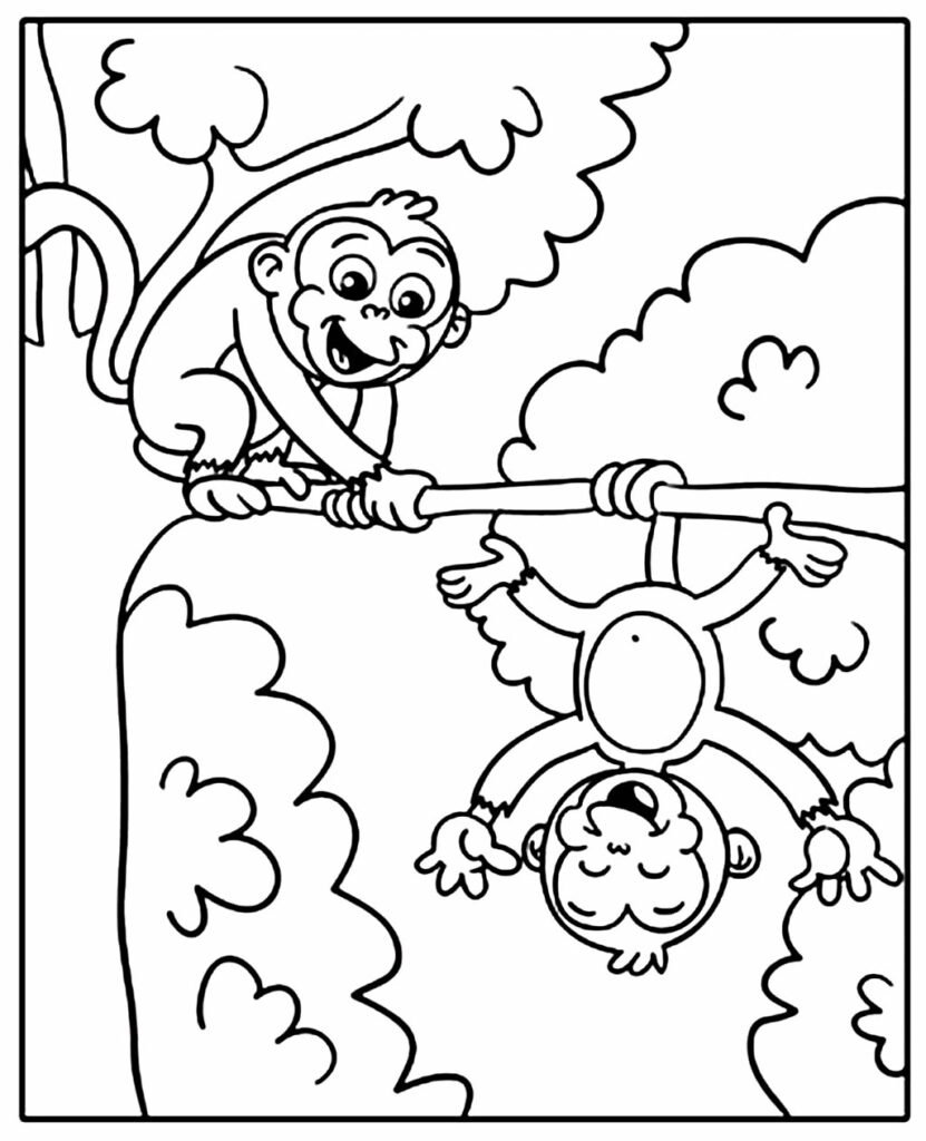 desenhos de macaco para colorir 4000