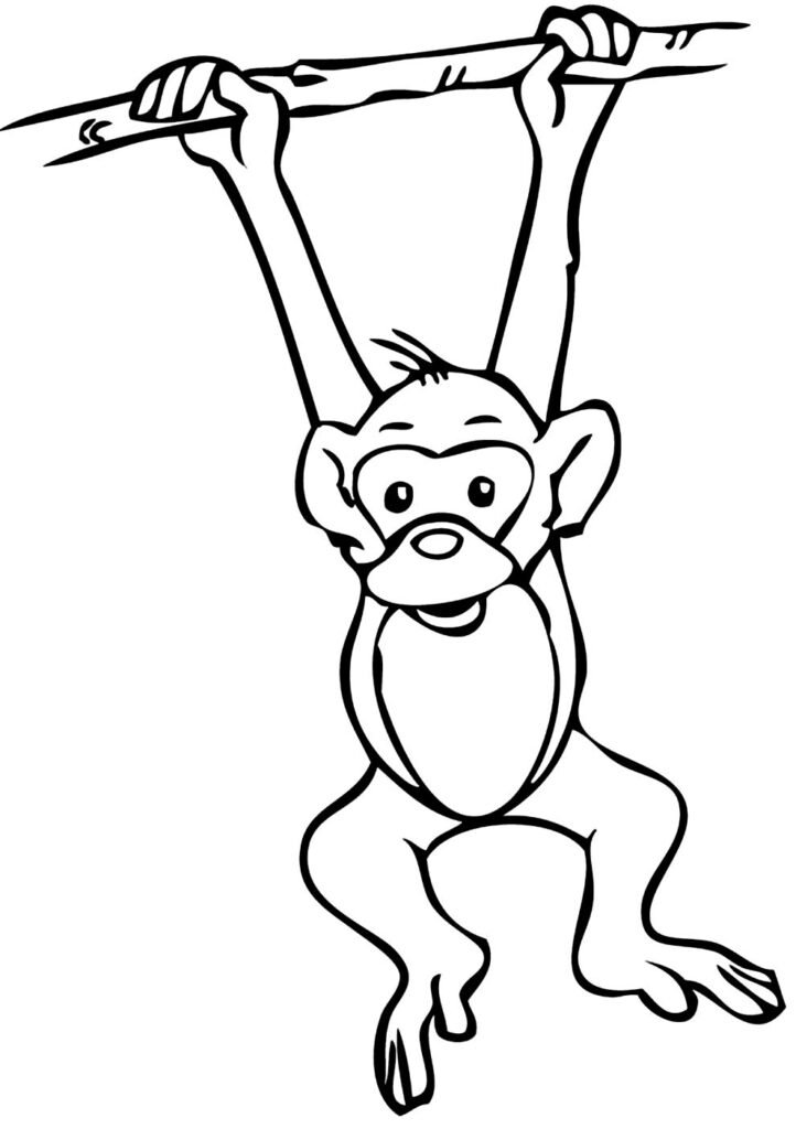 desenhos de macaquinho para colorir 4