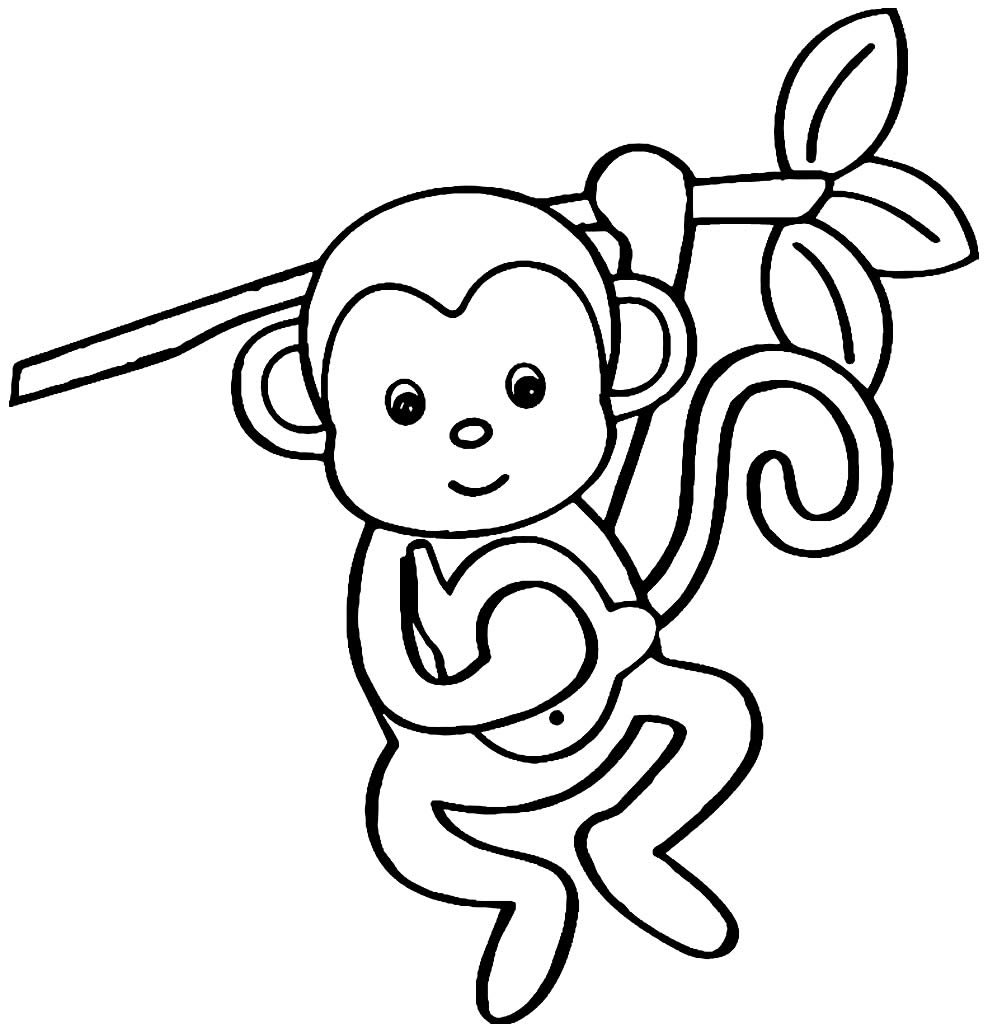 +80 Desenhos de Macaco para Colorir e Imprimir