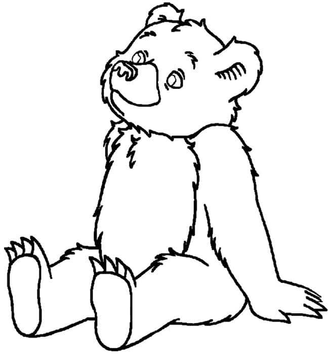 desenhos de ursinho para colorir 9