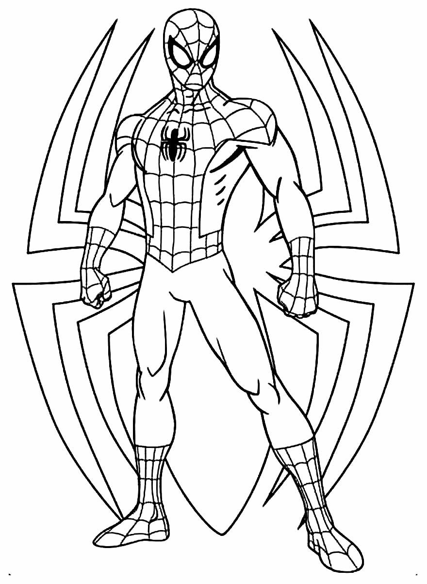 Desenhos do Homem Aranha para Colorir e Imprimir - Muito Fácil