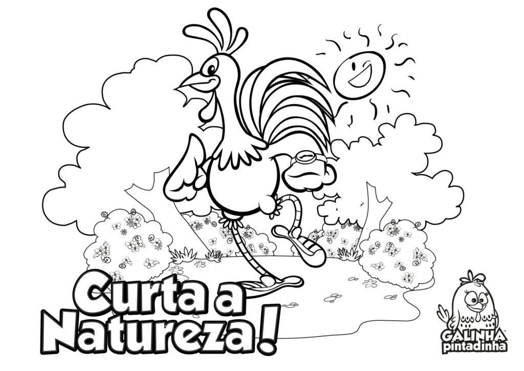 desenhos galinha pintadinha para colorir galo natureza