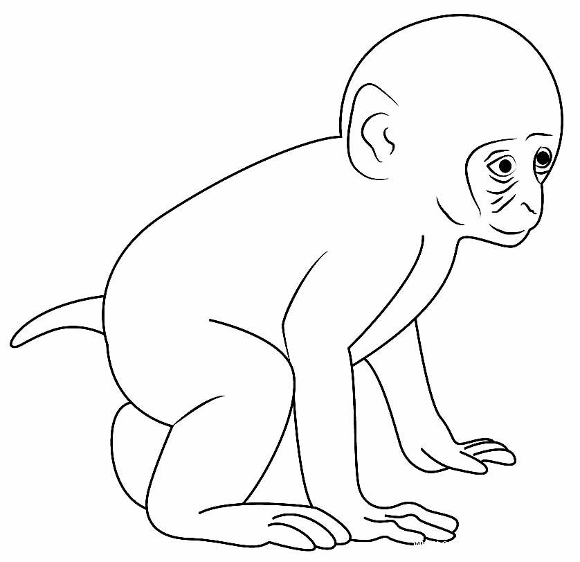 desenhos macaquinhos 2