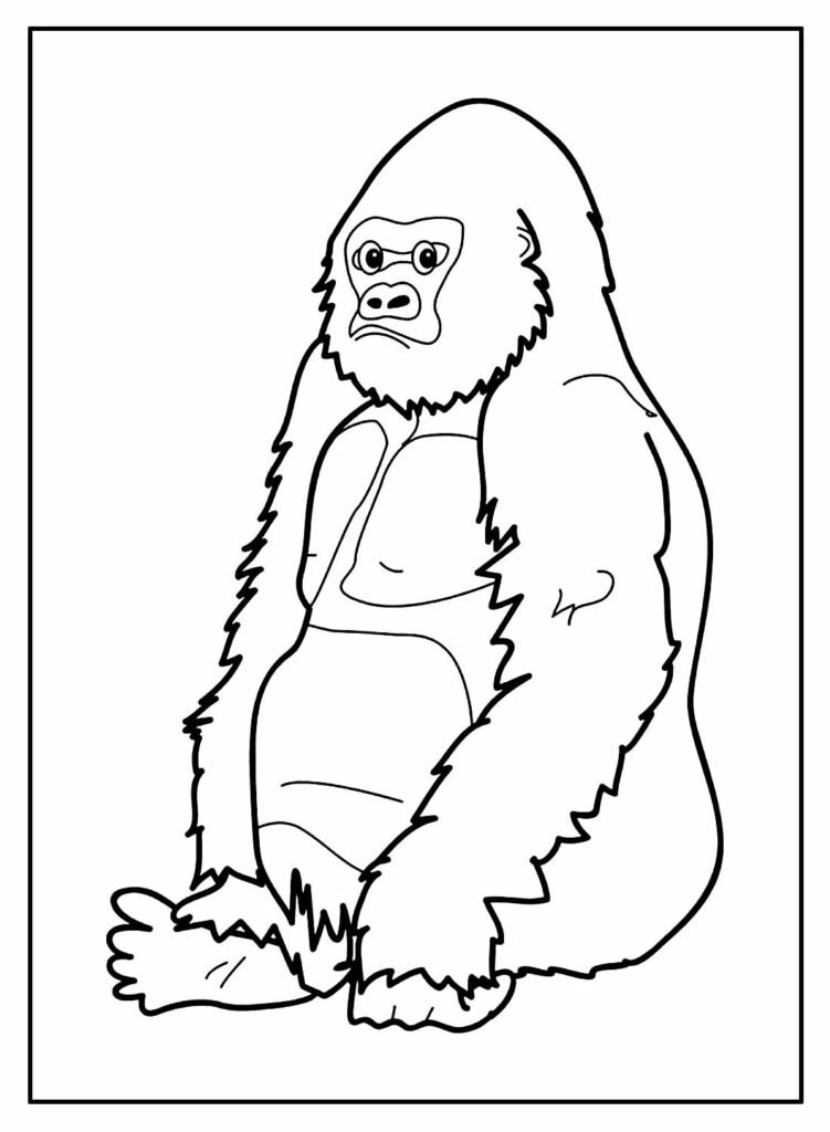 desenhos macaquinhos 6