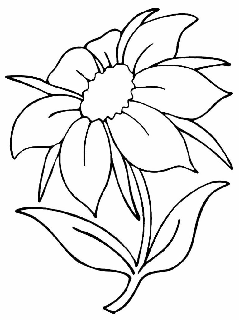 desenhos para colorir de flores 22