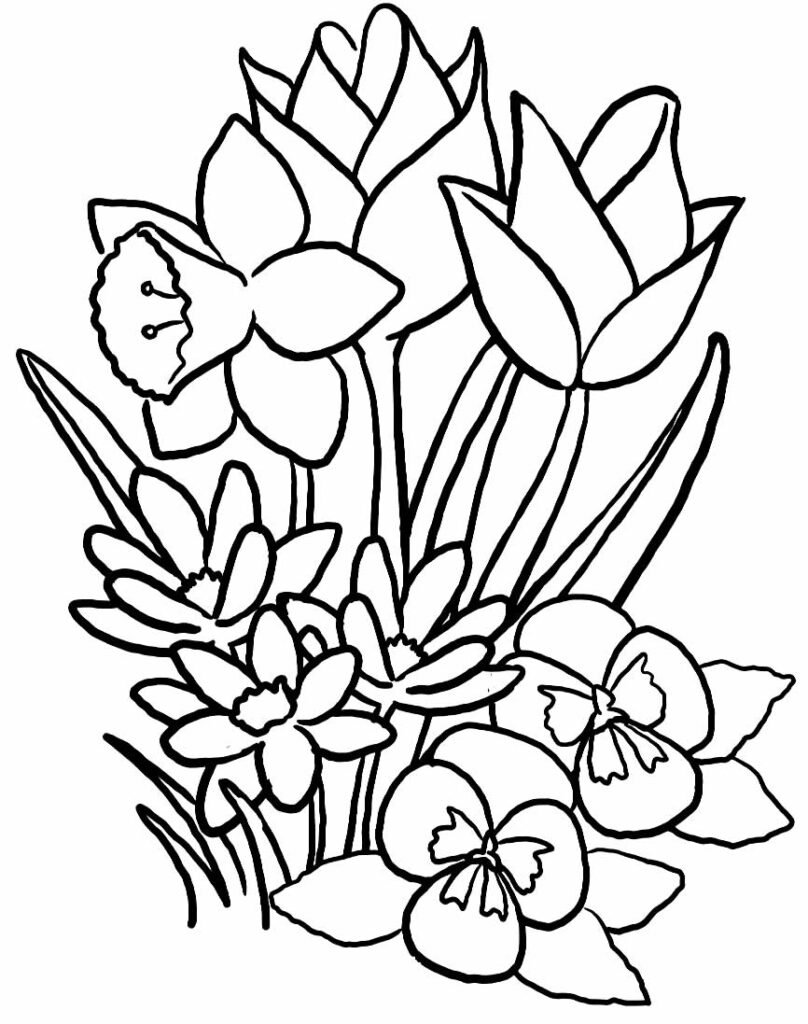 desenhos para colorir de flores 23