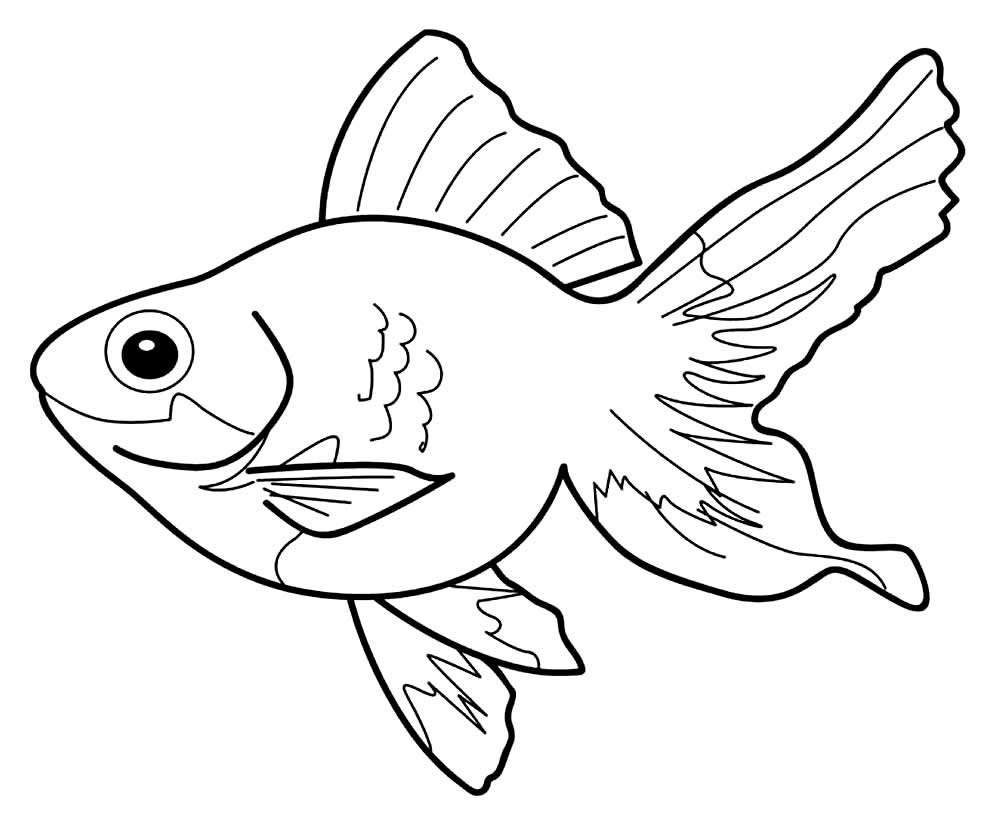 desenhos para colorir de peixes 11