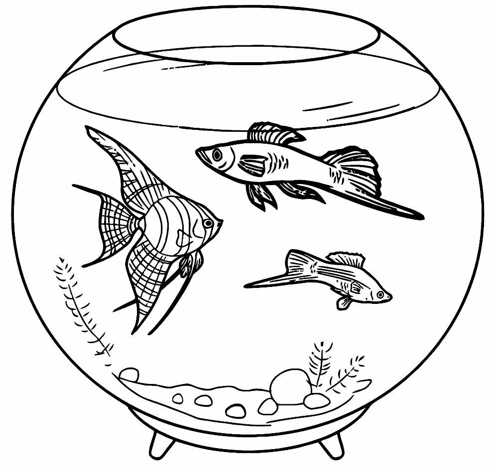 desenhos para colorir de peixes 17