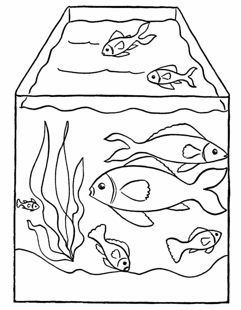 desenhos para colorir de peixes 18