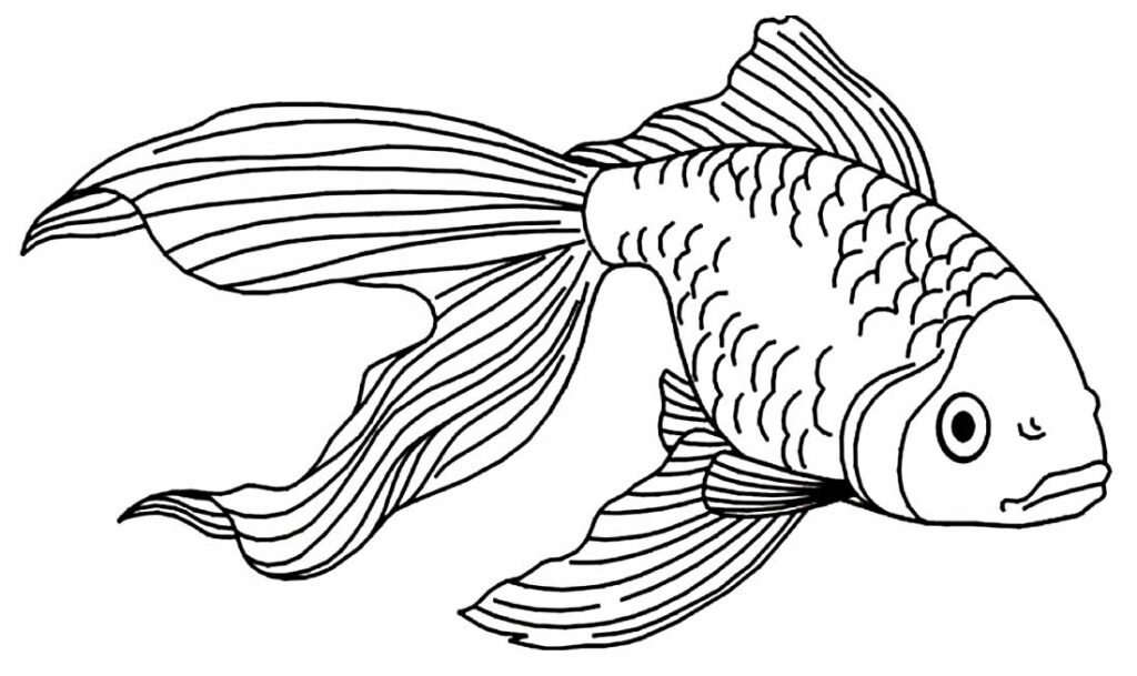 desenhos para colorir de peixes 2