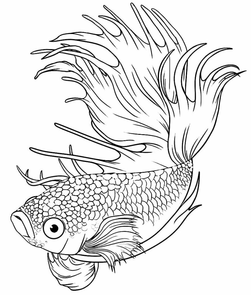 desenhos para colorir de peixes 20