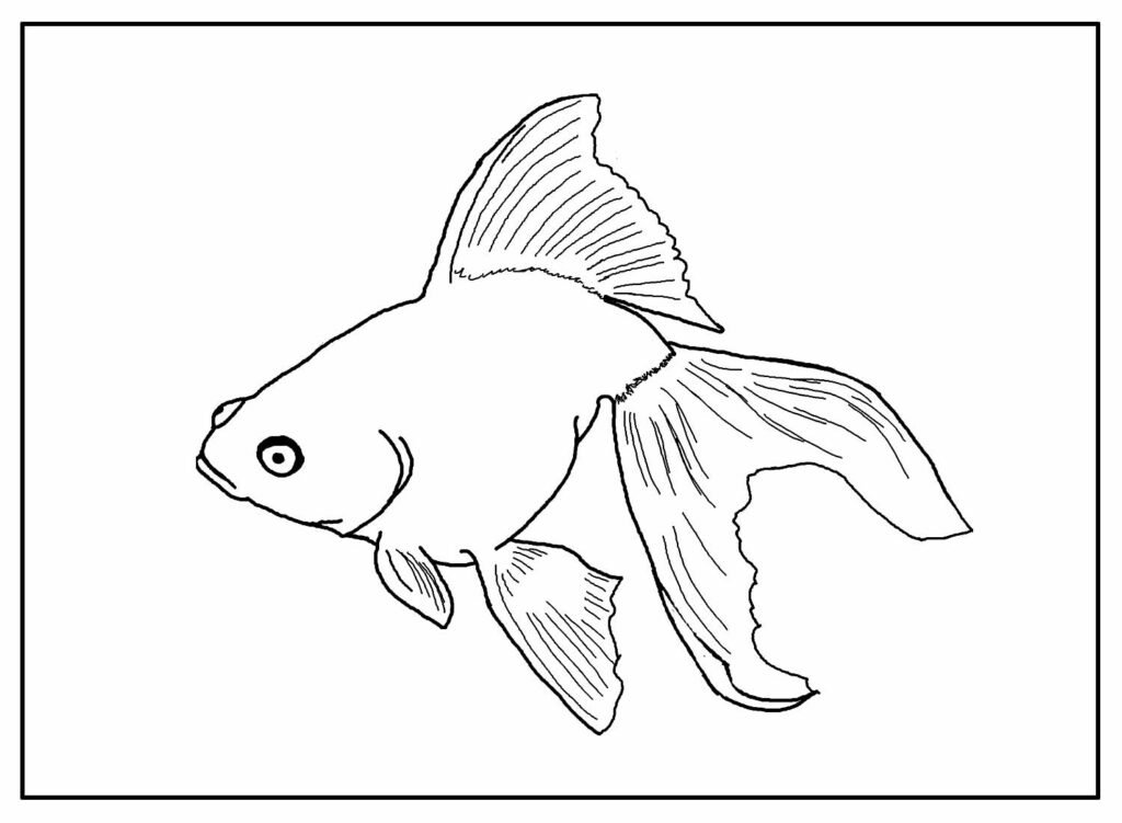 desenhos para colorir de peixes 24