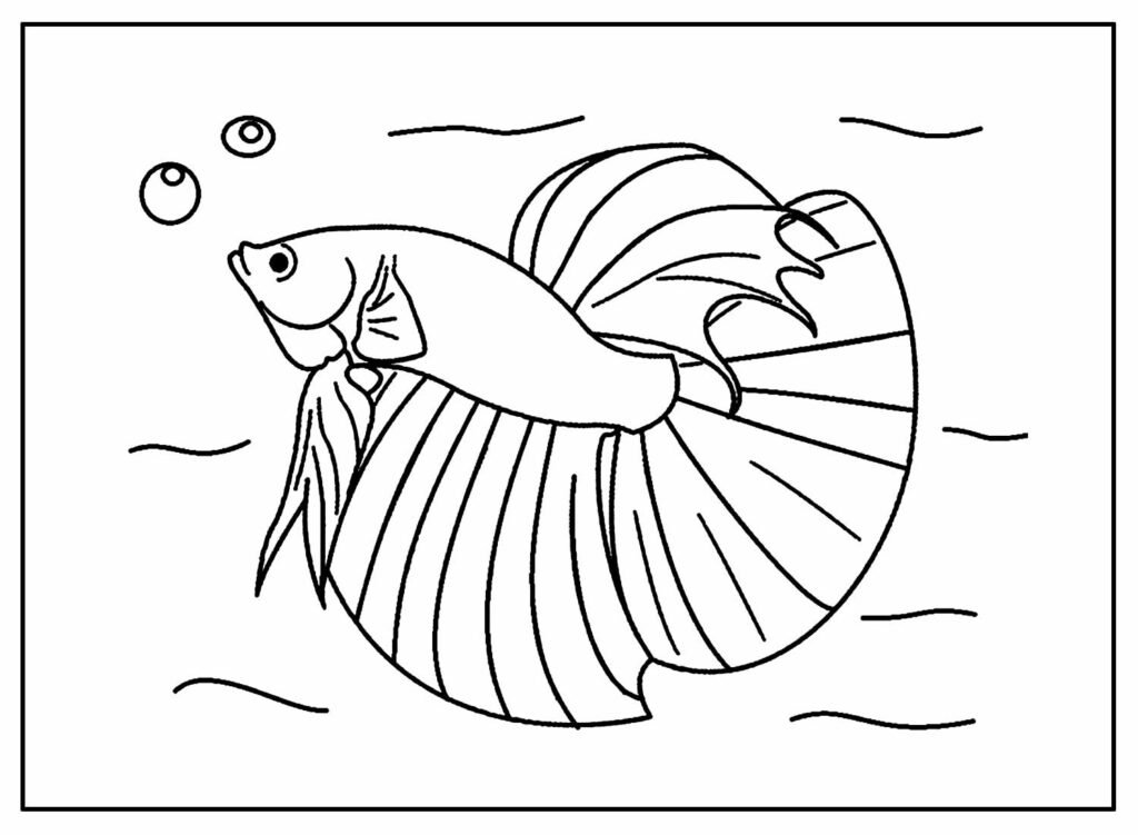 desenhos para colorir de peixes 25