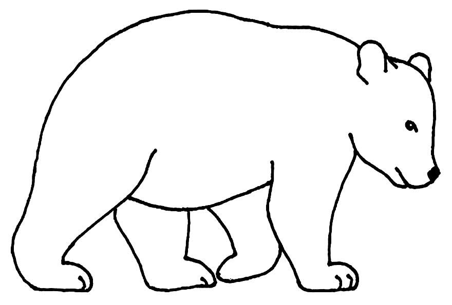 desenhos para colorir de urso 10