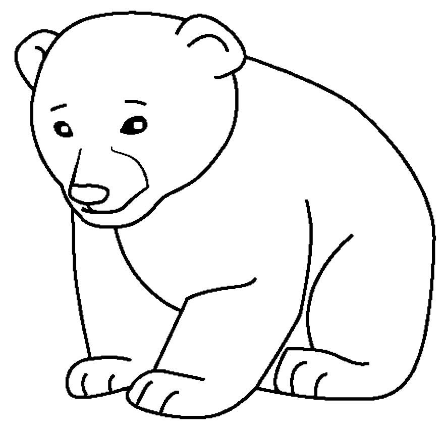 desenhos para colorir de urso 11