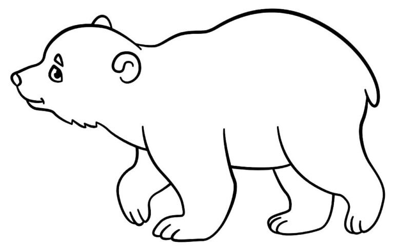 +90 Desenhos de Urso para Colorir e Imprimir