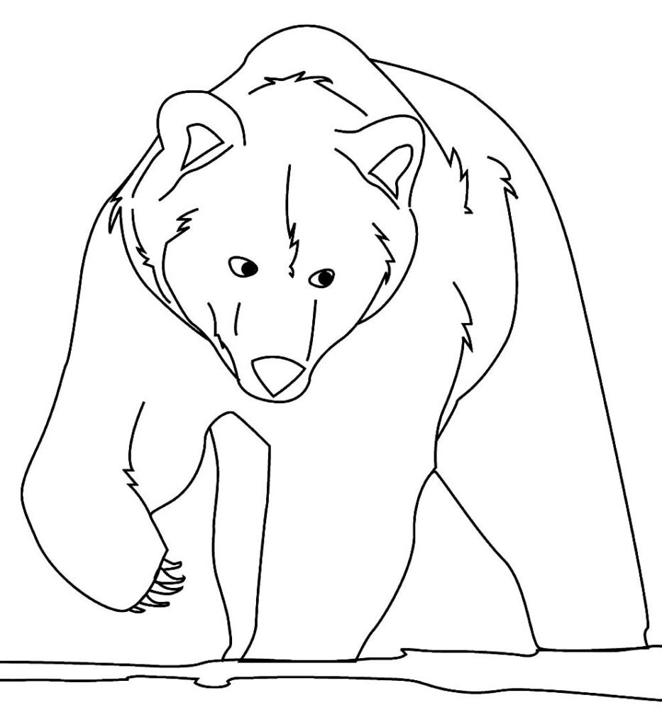 desenhos para colorir de urso 14 desenhos para colorir de urso 14