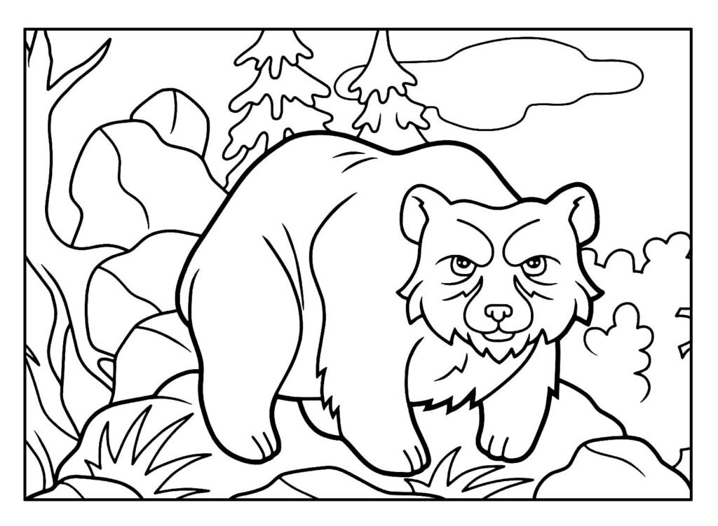 desenhos para colorir de urso 15