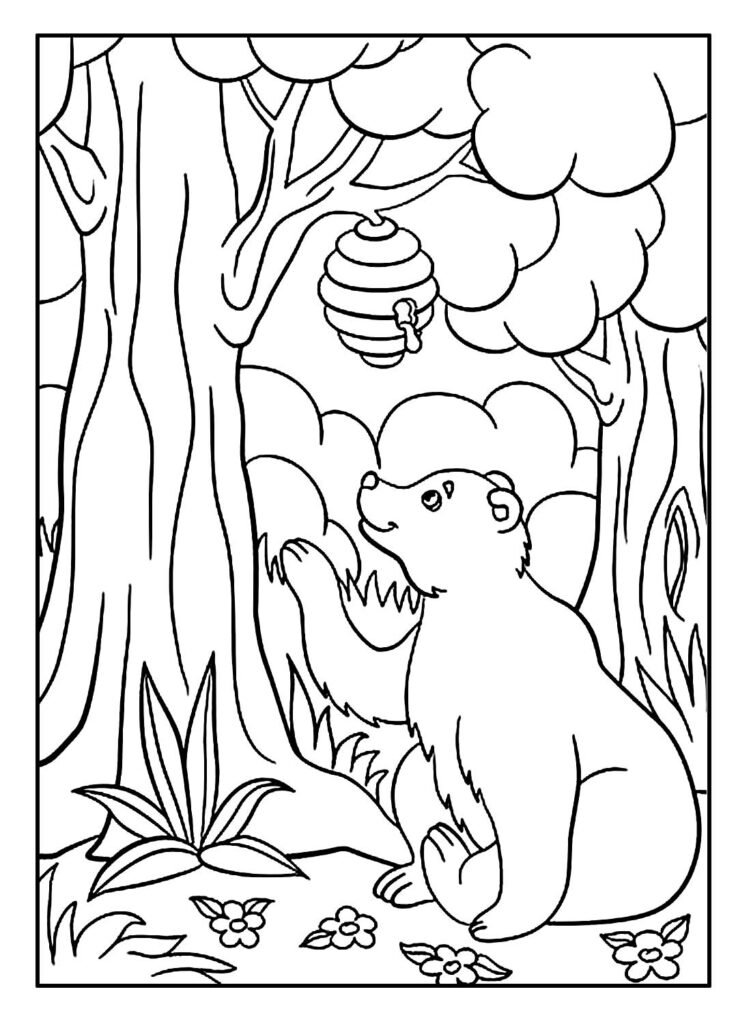 desenhos para colorir de urso 16