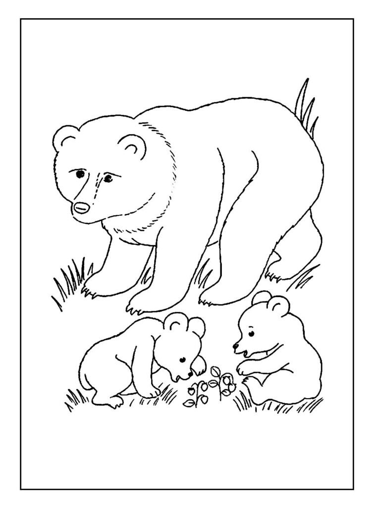 desenhos para colorir de urso 19