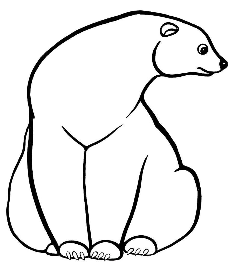 desenhos para colorir de urso 20 desenhos para colorir de urso 20