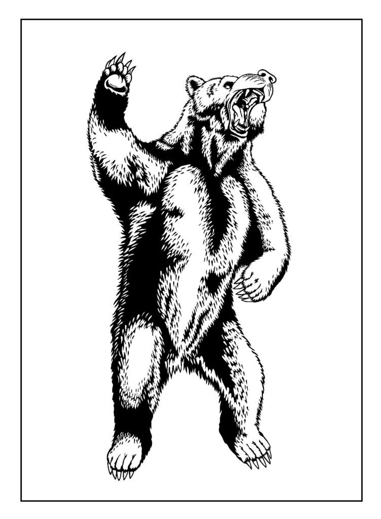 desenhos para colorir de urso 22